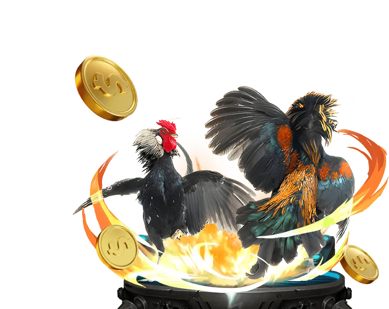 Chương trình hoàn trả hàng ngày/tuần tại NEW88